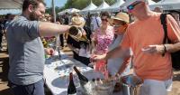 Wine District reports $1.2M in fees collected, as sales hold steady in Santa Barbara County