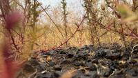 Fall harvest underway as Central Oregon farmers prepare for changing season