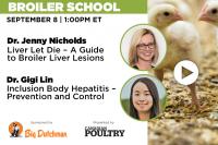 Broiler School tackles liver health