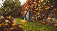 Lawns will be green and healthy if gardeners do simple task in September