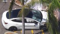 One killed and four injured in Tesla car park crash at Los Angeles Trader Joe's