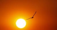 Hottest Septembers in New Mexico since 1895