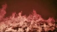 Texas A&M Forest Service: Ross Fire was human-caused