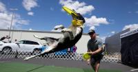 10 Labor Day weekend things to do in the Seattle area