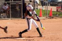 Falcon softball off to best start in more than two decades, sweeps Mesa Ridge