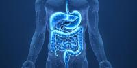 Irritable Bowel Syndrome Affects Over a Third of Patients With ME/CFS