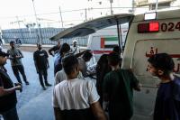 Israeli army kills 3 Palestinians, wounds others in Gaza Strip despite ceasefire