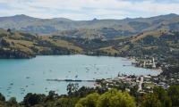 New Zealand's international education export earnings surge past pre-COVID levels: minister