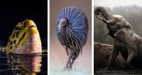 Striking Winners of the 2026 British and Irish Association of Zoos and Aquariums Photo Contest