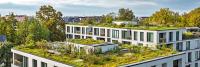 Mandatory Green Roofs and Eco-Friendly Parking: Romania Adopts Major Urban Planning Code