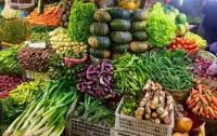 Safe Food Promise Faces Sri Lanka’s Enforcement Reality Check