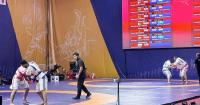 60 wrestlers compete in Kazakh wrestling