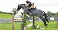 Farming, family fun and food
