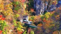 Japan’s Autumn Foliage Forecast 2026: Peak Times for Red and Yellow Leaves