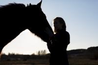 Can a Purebred Arabian Horse Leave a Lasting Legacy? Philanthropist Ann Lesley Smith Thinks So