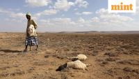El Nino is yet to peak, bringing heat and agricultural damage in tow, UN says