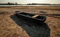 Hungary launches major afforestation program