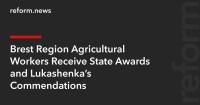 Brest Region Agricultural Workers Receive State Awards and Lukashenka’s Commendations