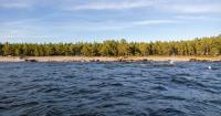 Border Guard: Surveying drone found along Finnish coast is Russian-made