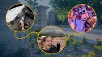 Highlighting the Internships of Summer 2026