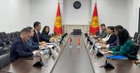 Kyrgyzstan, Montenegro discuss opening of direct flights