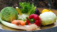 New EU Gene-Edited Food Rules Spark Hungarian NGO Opposition