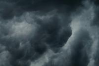 Non-profit urgently seeking donations in wake of Wednesday storm