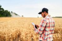 Plant Breeding Investment Needs Faster Decisions