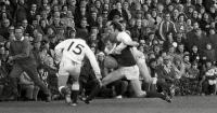 Drama intensifies at company founded by Scotland rugby star Bill Gammell