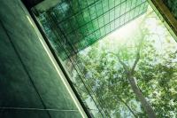 Rethinking… Net zero