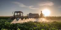 Nearly Half of the World’s Farmers Poisoned by Pesticides Each Year, Study Finds