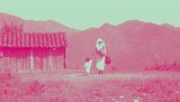 Latin America’s Agrarian Novels Chronicled the Birth of a New World