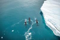 I took an expedition cruise from Iceland to Greenland – it was trip of a lifetime