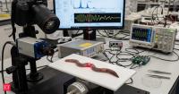 In 2019, scientists shook living earthworms at high frequencies to study their changing shapes, uncovering an unusual physics phenomenon that earned one of science’s strangest prizes
