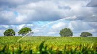 World food prices at highest point since 2022 - UN