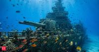 In 2002, South Australia scuttled ex-HMAS Hobart in 2 minutes and 17 seconds; 18 years later, a marine survey recorded more than 50 fish species around the destroyer