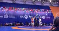 Kyrgyz athlete wins gold in Kazakh wrestling