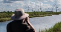 As LNG booms in coastal Louisiana, proposal in Cameron prompts concerns about migratory birds