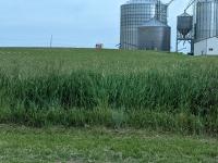 Illinois Offers Relief For Farmers