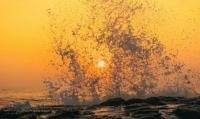 Over 180 scientists sign urgent appeal to tackle upcoming ‘super’ El Nino event