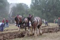 Agricultural society reveals date for annual ploughing match and show in West Grinstead