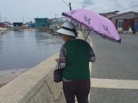 South Korea’s ‘sea women’ seek justice after marine habitat devastated by harbor work