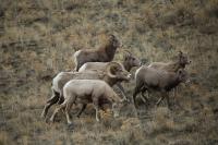 Some places in Wyoming are too important to gamble with