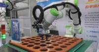 Shenyang transforms traditional manufacturing into higher-end production