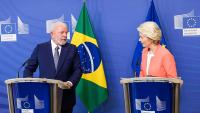 No need to audit our meat, says Brazil's EU ambassador as trade dispute escalates
