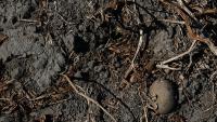 France unveils €1.1bn emergency aid for farmers after record heat