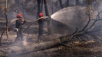 France commits €1bn in farmer support  in wake of heatwaves