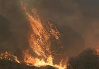 Record European fires burn over 500,000 hectares over summer