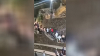 Migrants accused of beating baby dolphin to death in Spain (VIDEO)