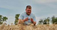 Climate Perennial Grains